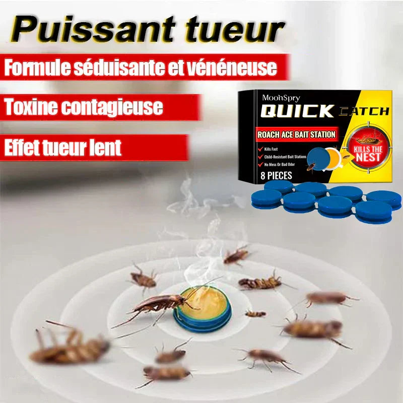 Dites Adieu Aux Cafards Avec Quick Catch – Appât Anti-Cafards